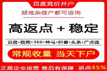 SEM代理的优化策略及成功案例